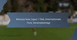 Moussa Sow: Ligue 1 Titel, Internationale Tore, Vereinsbeiträge